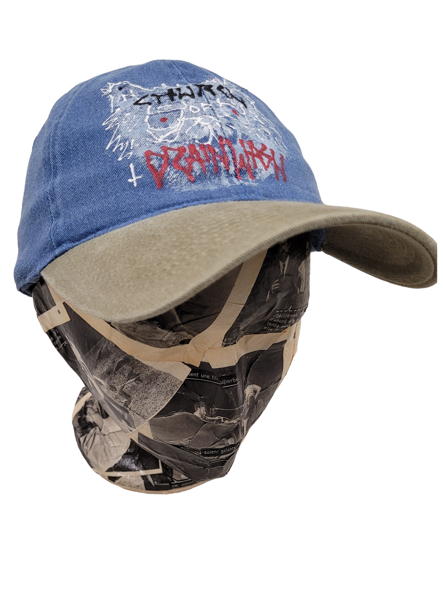 Drainwash - Cap - Kitty Punk Blue And Gray